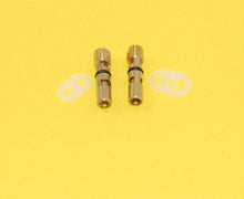 Load image into Gallery viewer, .110 Viton Needle &amp; Seat - Pair