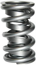 Load image into Gallery viewer, 1.400 Dual Valve Springs Nek Tek Series