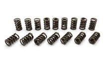 Load image into Gallery viewer, 1.260 Pro H-11 Single Valve Springs